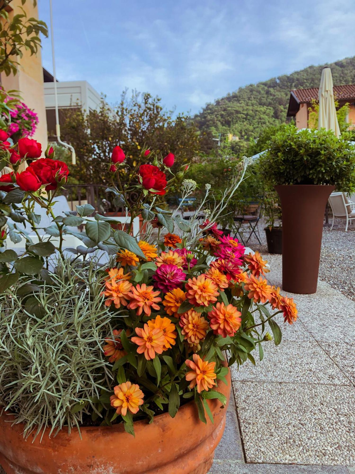 Hotel Antica Stallera Каннобио Экстерьер фото